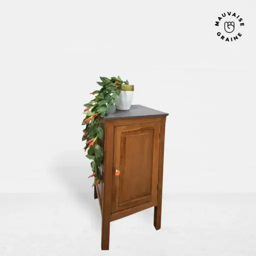 [MeubleTDN-D-20260121] MAUVAISE GRAINE - Meuble rénové avec tiroir